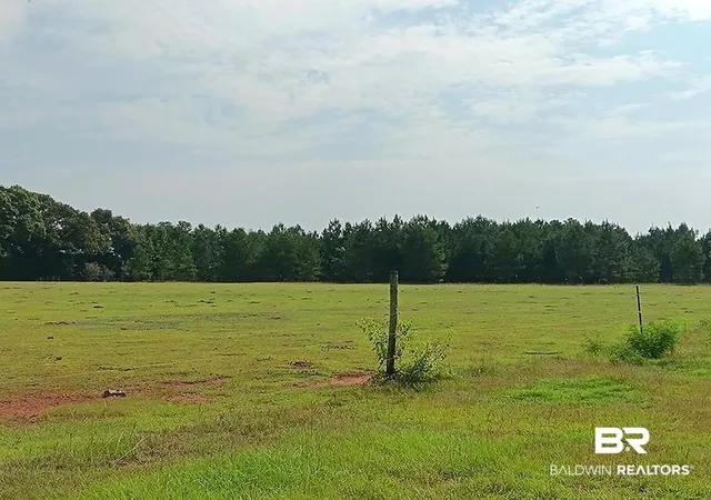 Photo 3 of Land for sale at 21379 Ima Brill Loop, Robertsdale, AL 36567 | MLS# 400190 | Listing updated on 2026-09-14