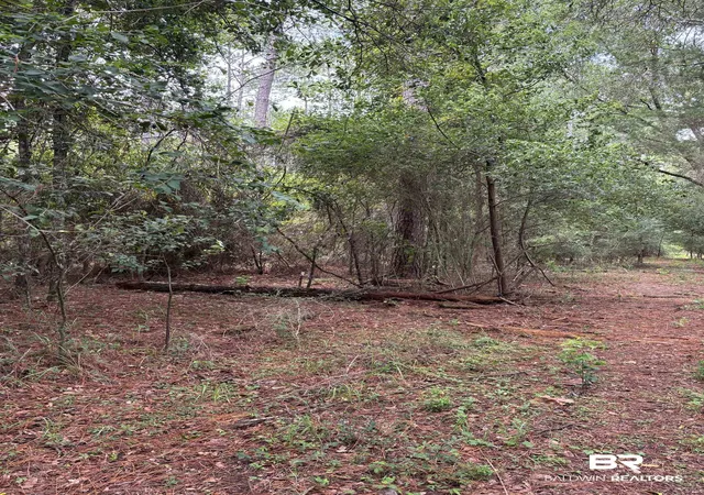 Photo 3 of Land for sale at Lot 8 County Rd 48, Robertsdale, AL 36567 | MLS# 399869 | Listing updated on 2026-09-02