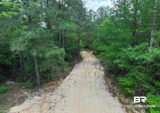 Photo 10 of Land for sale at 0 Sardis Church Rd, Atmore, AL 36502 | MLS# 395794 | Listing updated on 2026-07-24