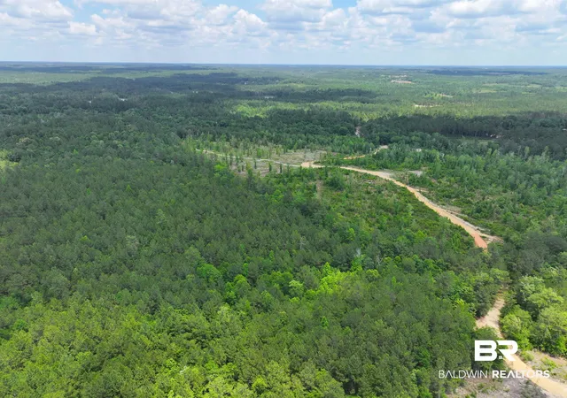 Photo 2 of Land for sale at 0 Sardis Church Rd, Atmore, AL 36502 | MLS# 395794 | Listing updated on 2026-07-24