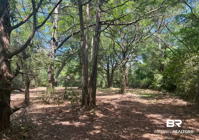 Photo 3 of Land for sale at 17967 River Rd, Summerdale, AL 36580 | MLS# 400287 | Listing updated on 2026-08-04