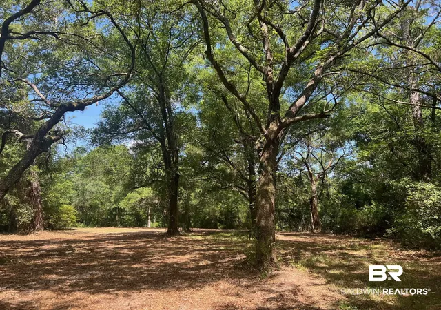 Photo 4 of Land for sale at 17967 River Rd, Summerdale, AL 36580 | MLS# 400287 | Listing updated on 2026-08-04