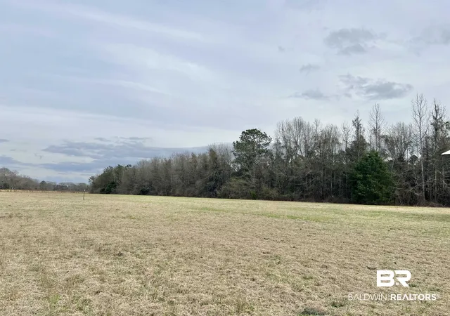 4th image of 1400 Block Mexboro Rd, Frisco City, AL 36445 | MLS# 392233