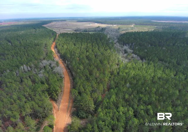 Photo 1 of Land for sale at 0 Griggers Rd, Robertsdale, AL 36567 | MLS# 390773 | Listing updated on 2026-07-24