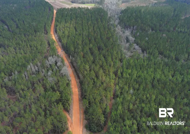Photo 2 of Land for sale at 0 Griggers Rd, Robertsdale, AL 36567 | MLS# 390773 | Listing updated on 2026-07-24