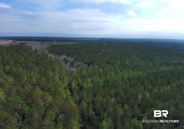 Photo 3 of Land for sale at 0 Griggers Rd, Robertsdale, AL 36567 | MLS# 390773 | Listing updated on 2026-07-24