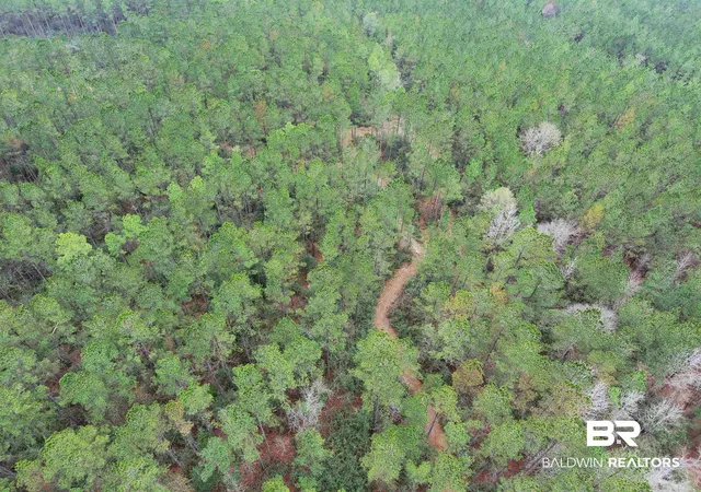 Photo 3 of Land for sale at 0 Griggers Rd, Robertsdale, AL 36567 | MLS# 390773 | Listing updated on 2026-07-24