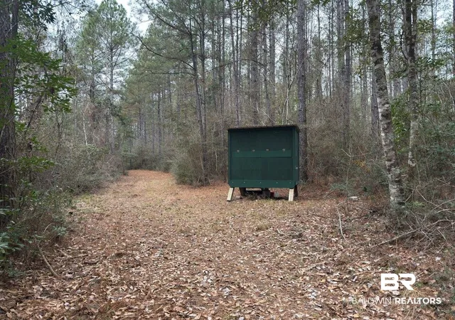 Photo 4 of Land for sale at 0 Griggers Rd, Robertsdale, AL 36567 | MLS# 390773 | Listing updated on 2026-07-24