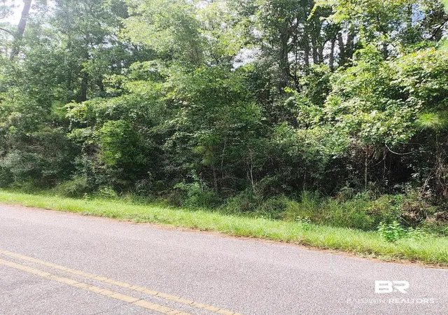 Photo 2 of Land for sale at 00000 Boykin Blvd, Lillian, AL 36549 | MLS# 384256 | Listing updated on 2026-07-28