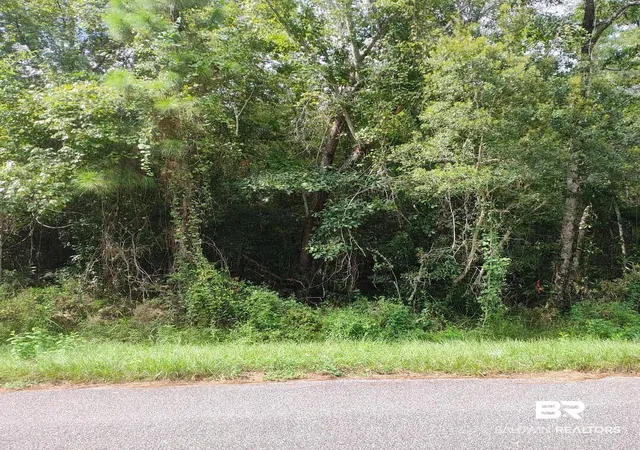Photo 3 of Land for sale at 00000 Boykin Blvd, Lillian, AL 36549 | MLS# 384256 | Listing updated on 2026-07-28