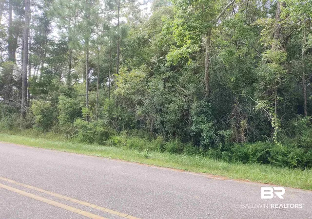 Photo 4 of Land for sale at 00000 Boykin Blvd, Lillian, AL 36549 | MLS# 384256 | Listing updated on 2026-07-28