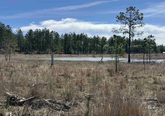 Homes for sale in Robertsdale, AL | 2 County Road 64 Extension, Robertsdale, AL 36567 | MLS# 393797