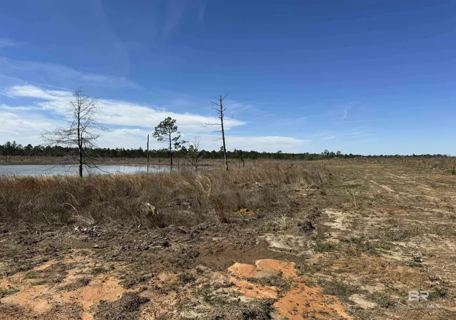 Homes for sale in Robertsdale, AL | 2 County Road 64 Extension, Robertsdale, AL 36567 | MLS# 393797