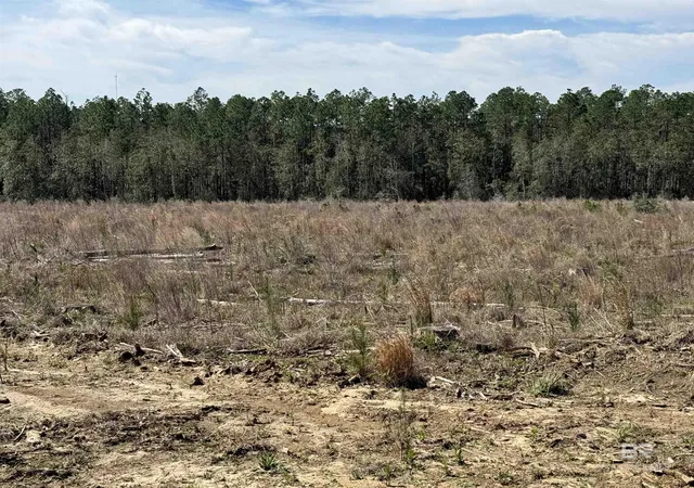 Homes for sale in Robertsdale, AL | 2 County Road 64 Extension, Robertsdale, AL 36567 | MLS# 393797