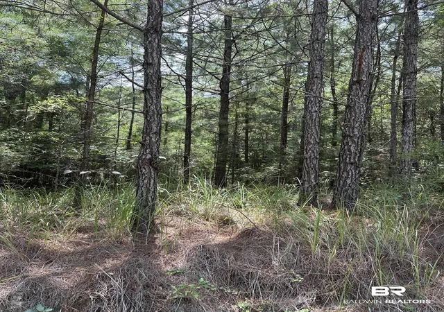 1st image of 110 Frannce City Road, Millry, AL 36558 | MLS# 400139