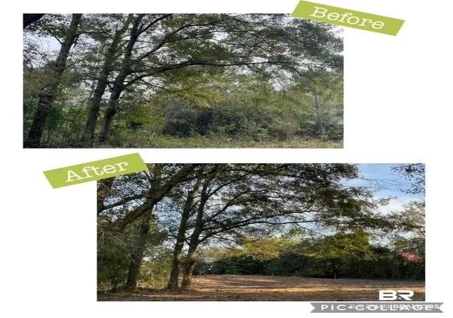 Photo 3 of Land for sale at 12541 Frondfield Ln, Elberta, AL 36530 | MLS# 398241 | Listing updated on 2026-07-24