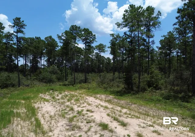 Photo 1 of Land for sale at 00 Kings Landing Rd, Seminole, AL 36574 | MLS# 398766 | Listing updated on 2026-08-07