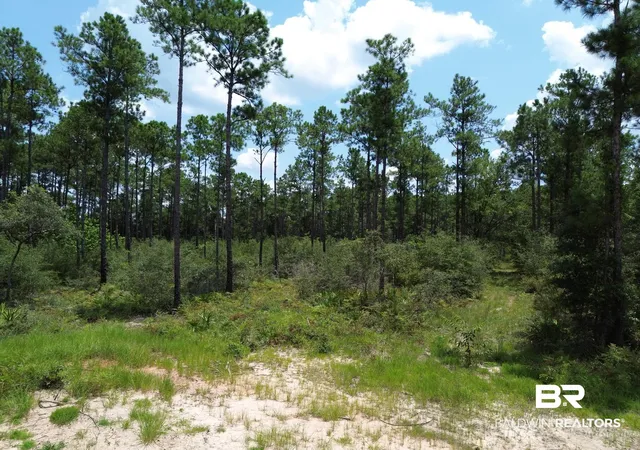 Photo 2 of Land for sale at 00 Kings Landing Rd, Seminole, AL 36574 | MLS# 398766 | Listing updated on 2026-08-07