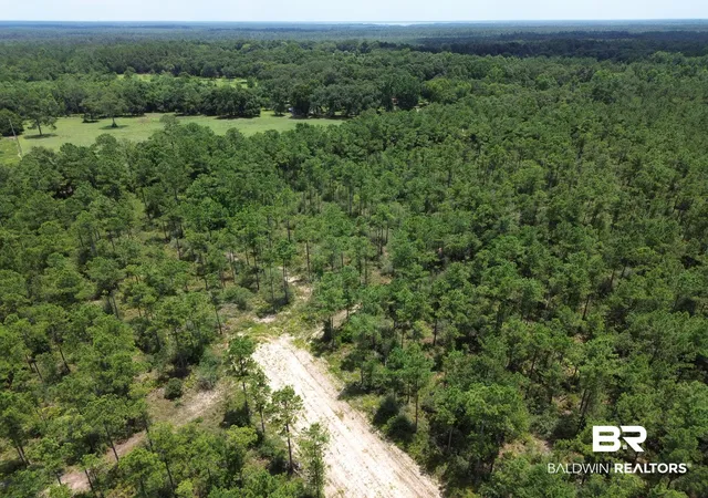 Photo 3 of Land for sale at 00 Kings Landing Rd, Seminole, AL 36574 | MLS# 398766 | Listing updated on 2026-08-07