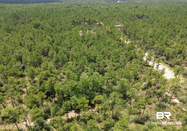 Photo 3 of Land for sale at 00 Kings Landing Rd, Seminole, AL 36574 | MLS# 398766 | Listing updated on 2026-08-07