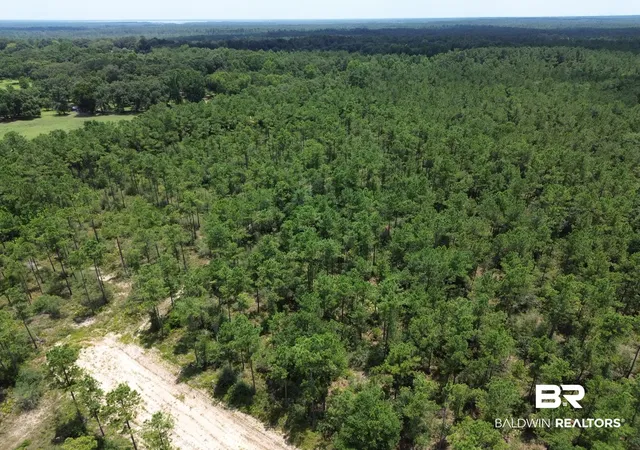 Photo 4 of Land for sale at 00 Kings Landing Rd, Seminole, AL 36574 | MLS# 398766 | Listing updated on 2026-08-07