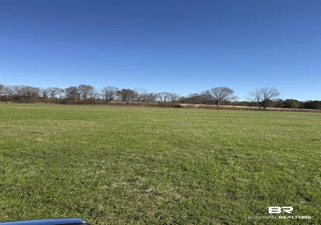 Land for sale at 325 Honoraville Rd, Greenville, AL 36037 | MLS# 392947