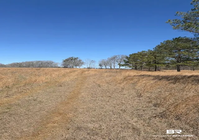 Photo 3 of Land for sale at 325 Honoraville Rd, Greenville, AL 36037 | MLS# 392947 | Listing updated on 2026-08-21