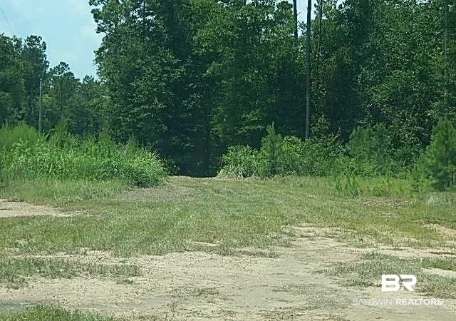 29th image of 29863 County Rd 87, Robertsdale, AL 36567 | MLS# 399958