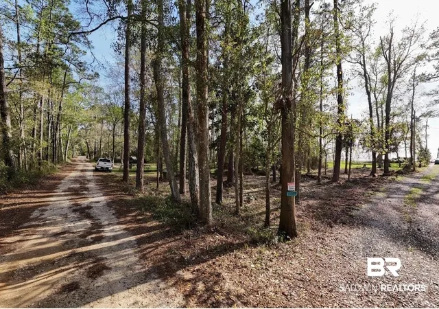 Photo 3 of Land for sale at 0 Shore Dr, Foley, AL 36535 | MLS# 393657 | Listing updated on 2026-08-13