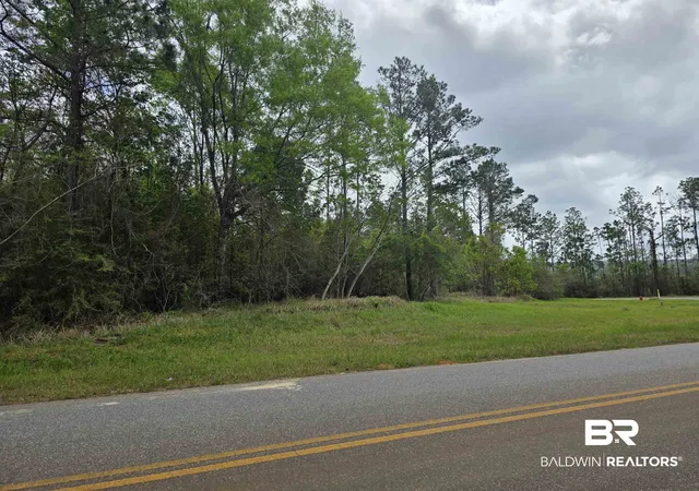Photo 4 of Land for sale at 11631 Red Hl Rd Ext, Bay Minette, AL 36507 | MLS# 394312 | Listing updated on 2026-08-02