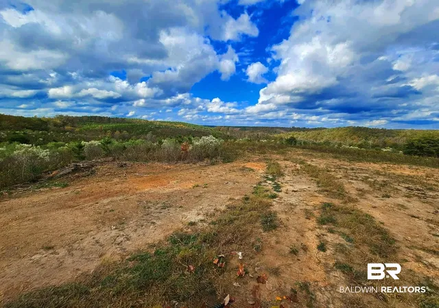 Photo 1 of Land for sale at 0 County Rd 79, Waterloo, AL 36577 | MLS# 393529 | Listing updated on 2026-08-26