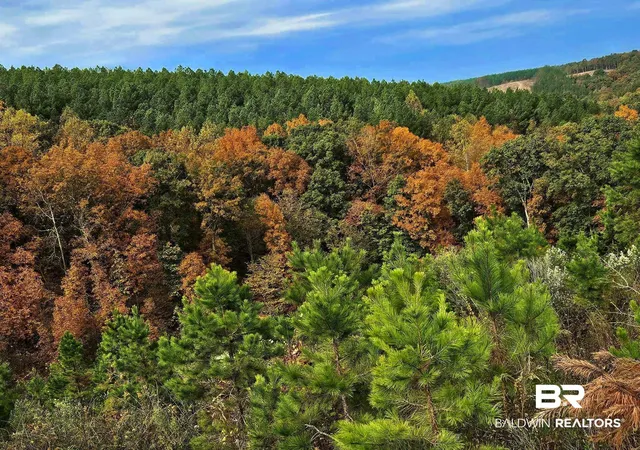 Photo 2 of Land for sale at 0 County Rd 79, Waterloo, AL 36577 | MLS# 393529 | Listing updated on 2026-08-26