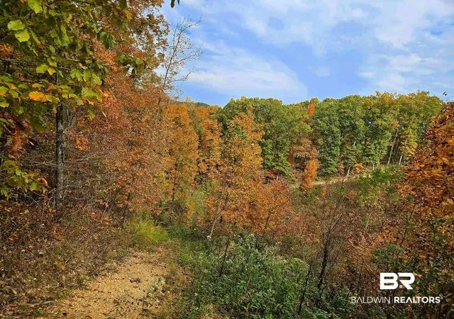 Photo 3 of Land for sale at 0 County Rd 79, Waterloo, AL 36577 | MLS# 393529 | Listing updated on 2026-08-26