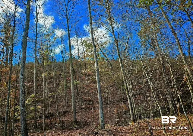 Photo 4 of Land for sale at 0 County Rd 79, Waterloo, AL 36577 | MLS# 393529 | Listing updated on 2026-08-26