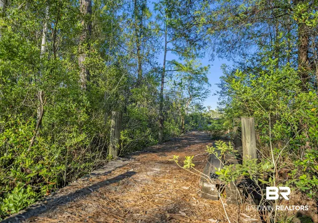 63rd image of 34130 Alligator Byp Rd, Lillian, AL 36549 | MLS# 394776