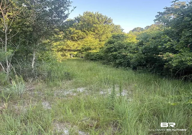 Photo 2 of Land for sale at 0 Nolte Crk Dr, Foley, AL 36535 | MLS# 391741 | Listing updated on 2026-09-14