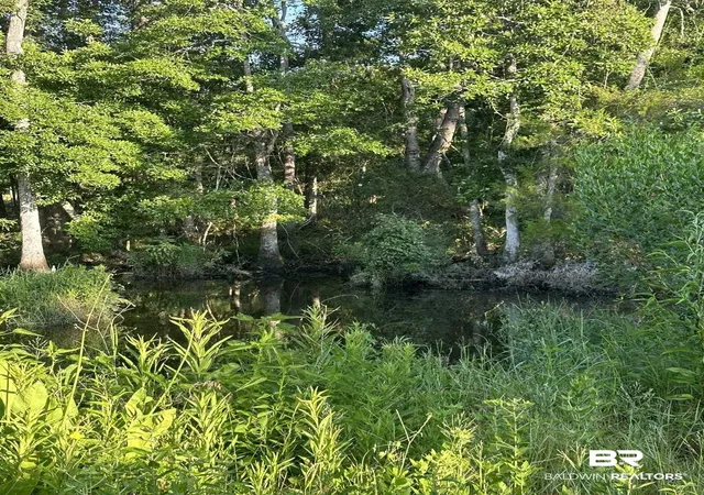 Photo 3 of Land for sale at 0 Nolte Crk Dr, Foley, AL 36535 | MLS# 391741 | Listing updated on 2026-09-14