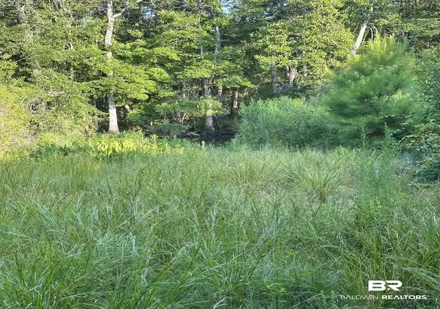 Photo 3 of Land for sale at 0 Nolte Crk Dr, Foley, AL 36535 | MLS# 391741 | Listing updated on 2026-09-14