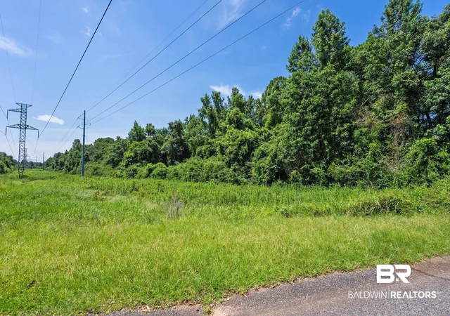 Photo 4 of Land for sale at 0 Mcfarland Rd, Mobile, AL 36695 | MLS# 399160 | Listing updated on 2026-09-14