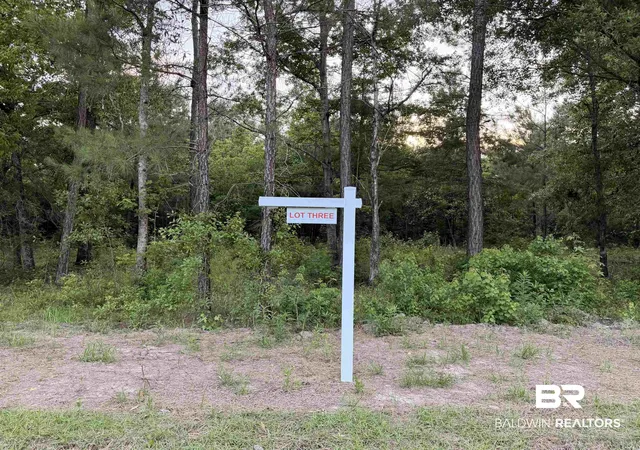 Photo 4 of Land for sale at 15837 Pine Grv Rd Ext #9, Bay Minette, AL 36507 | MLS# 407382 | Listing updated on 2026-08-11
