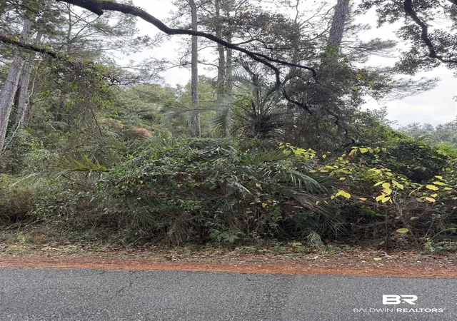 Photo 3 of Land for sale at 0 Pine Acres Rd, Gulf Shores, AL 36542 | MLS# 397106 | Listing updated on 2026-07-24