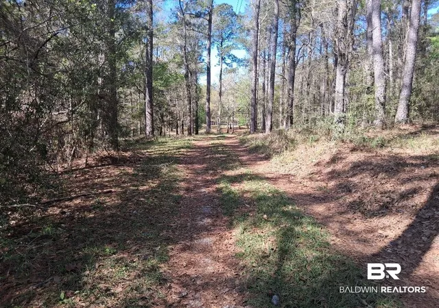 Photo 3 of Sale Pending at 43053 State Hwy 225, Bay Minette, AL 36507 | MLS# 393972 | Listing updated on 2026-09-15