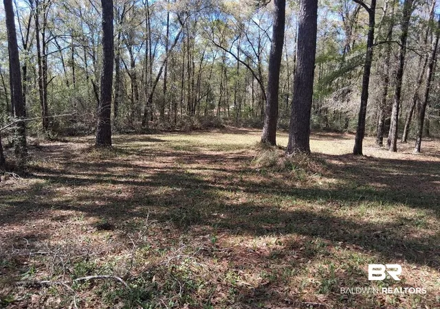 Photo 4 of Sale Pending at 43053 State Hwy 225, Bay Minette, AL 36507 | MLS# 393972 | Listing updated on 2026-09-15