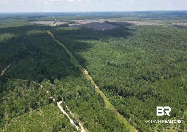 Photo 2 of Land for sale at 0 Bluett Tanner Rd, Wilmer, AL 36587 | MLS# 399315 | Listing updated on 2026-07-24