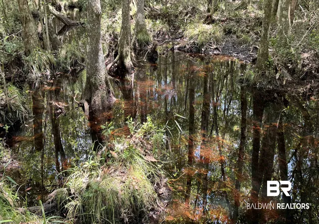 Photo 3 of Land for sale at 0 Bluett Tanner Rd, Wilmer, AL 36587 | MLS# 399315 | Listing updated on 2026-07-24