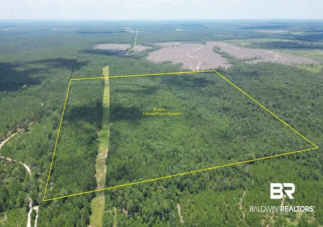 Photo 3 of Land for sale at 0 Bluett Tanner Rd, Wilmer, AL 36587 | MLS# 399315 | Listing updated on 2026-07-24