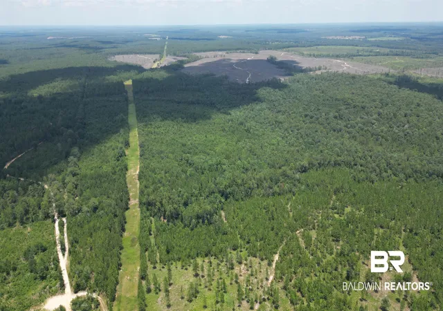 Photo 4 of Land for sale at 0 Bluett Tanner Rd, Wilmer, AL 36587 | MLS# 399315 | Listing updated on 2026-07-24