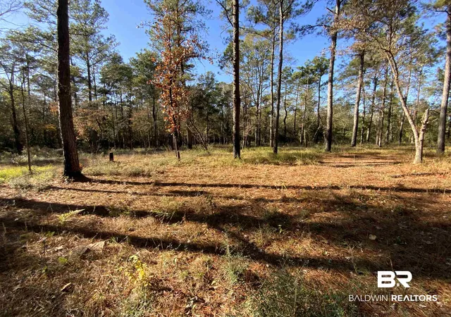 Photo 1 of Land for sale at 10 Drinkard Rd, Bay Minette, AL 36507 | MLS# 388891 | Listing updated on 2026-08-02