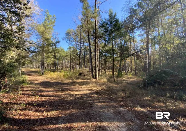 Photo 2 of Land for sale at 10 Drinkard Rd, Bay Minette, AL 36507 | MLS# 388891 | Listing updated on 2026-08-02