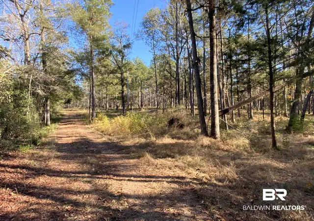 Photo 3 of Land for sale at 10 Drinkard Rd, Bay Minette, AL 36507 | MLS# 388891 | Listing updated on 2026-08-02